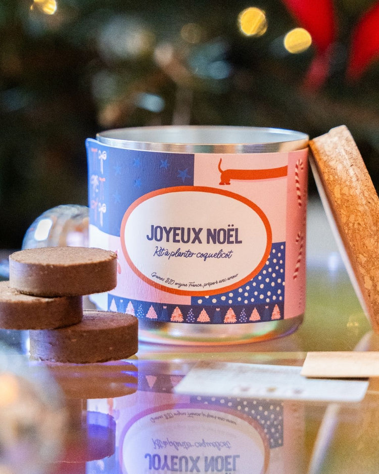 Kit à planter Joyeux Noël avec graines et instructions visibles