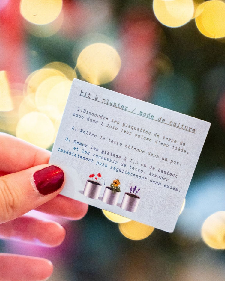 Kit à planter Joyeux Noël avec graines de trèfle en vue rapprochée