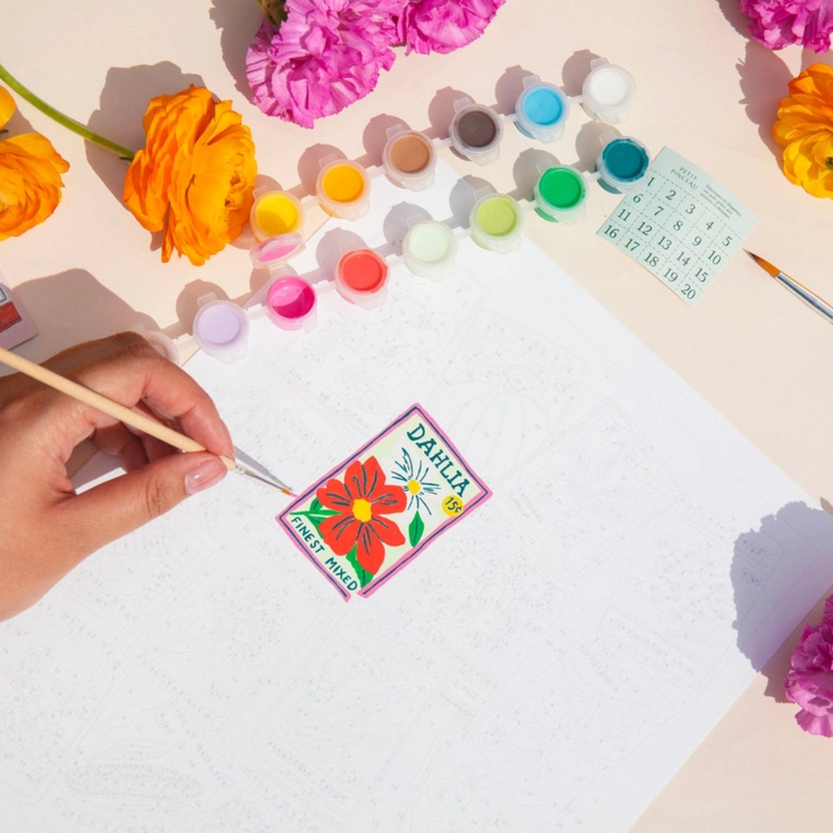 Coffret peinture au numéro avec motifs de sachets de graines colorés