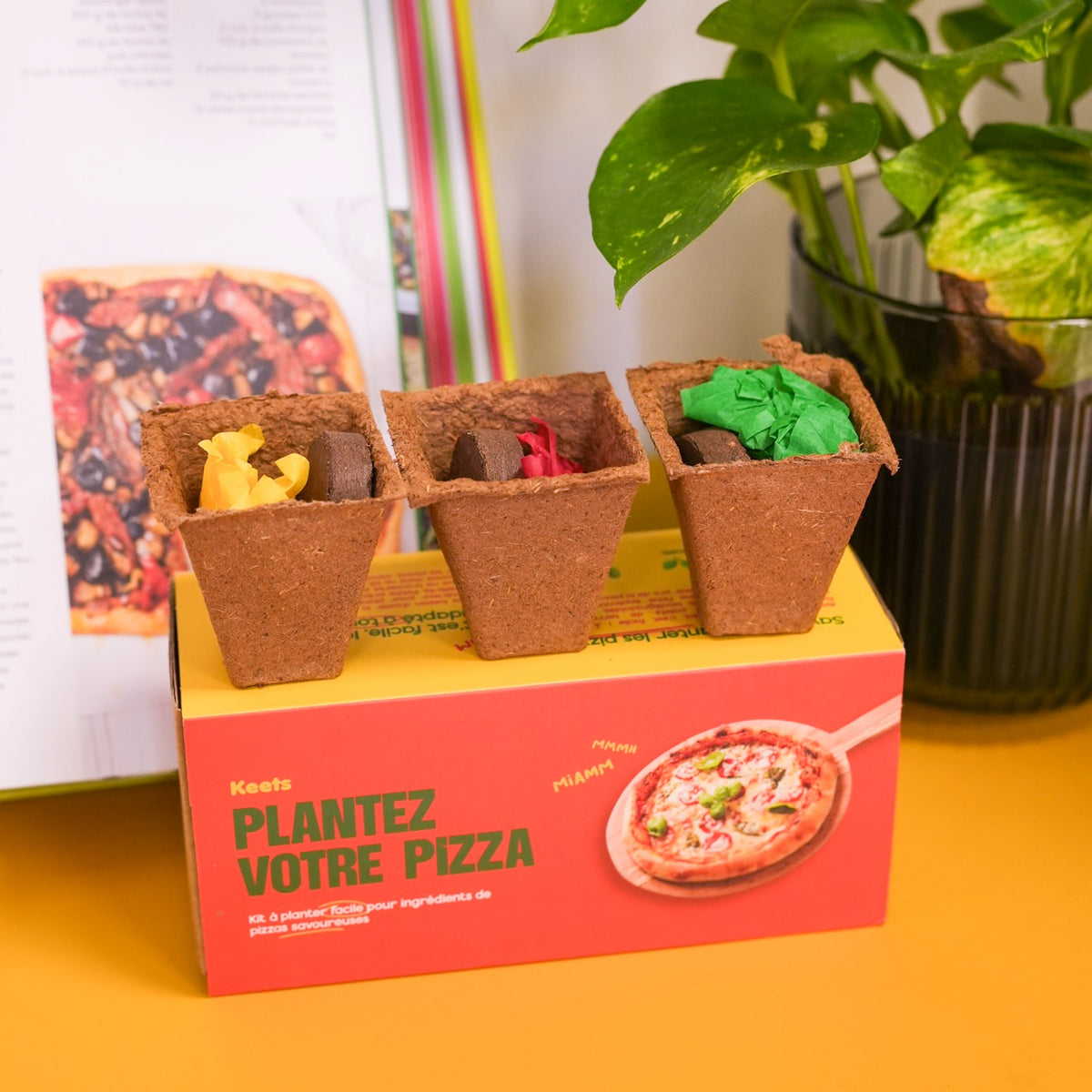 Kit de plantation avec pots en terre cuite et étiquettes en bois.