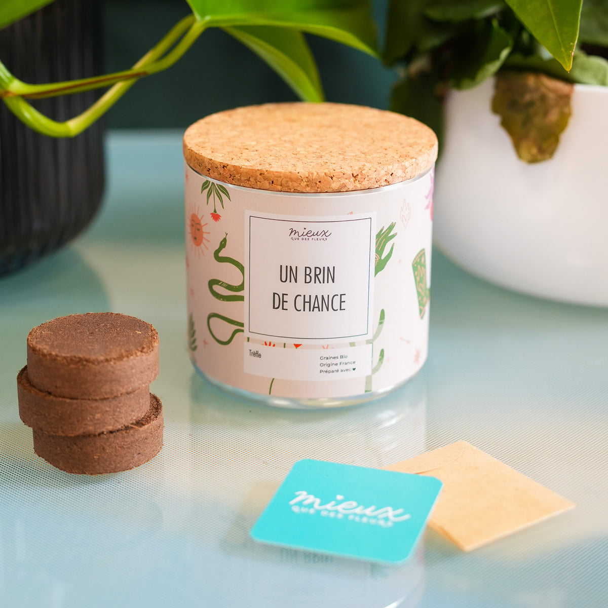 Kit à planter avec étiquettes colorées et terreau visible
