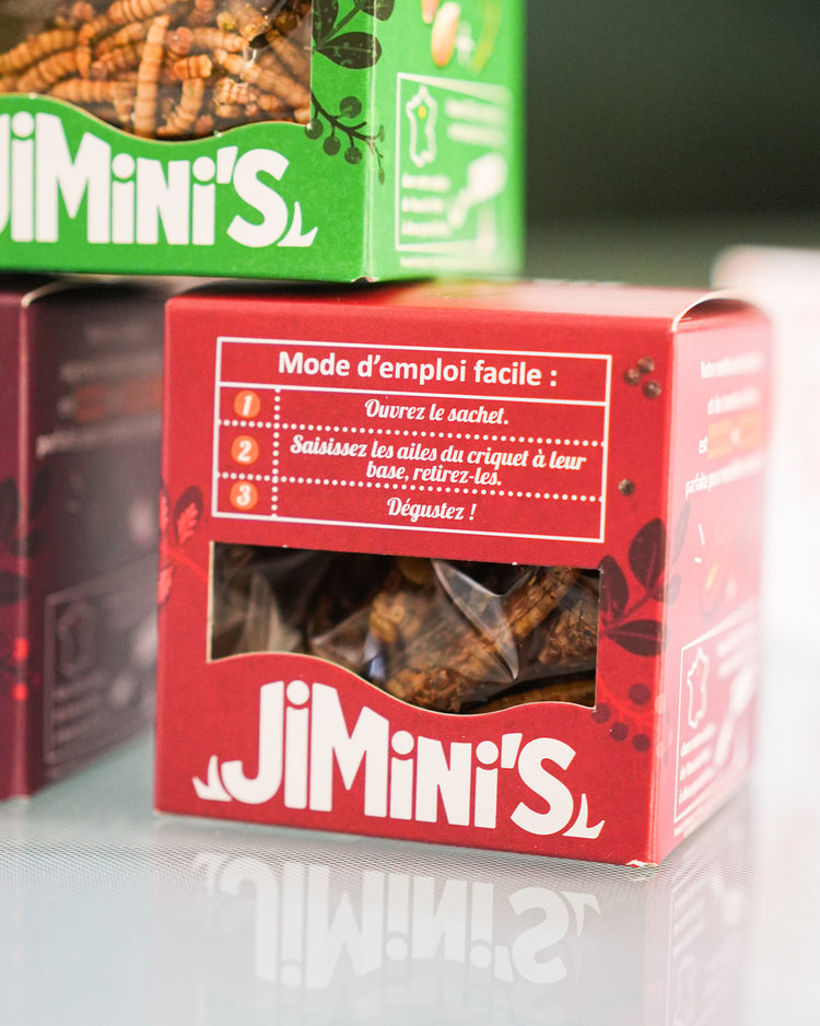 Coffret d'insectes comestibles pour apéro, vue de dessus.