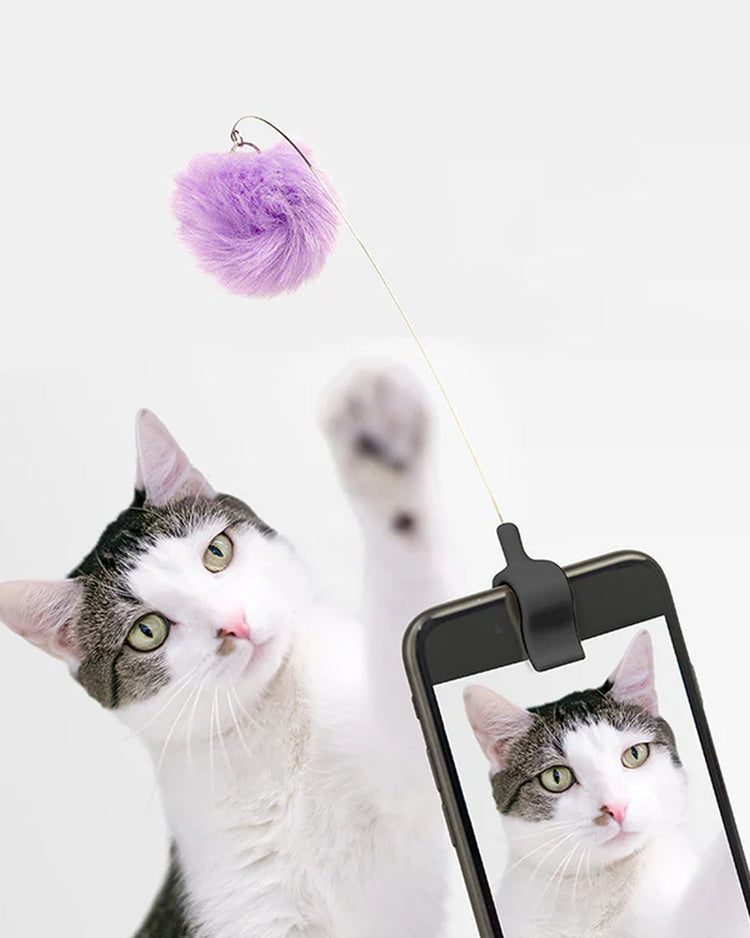 Jouet pour chat suspendu, texture douce et colorée