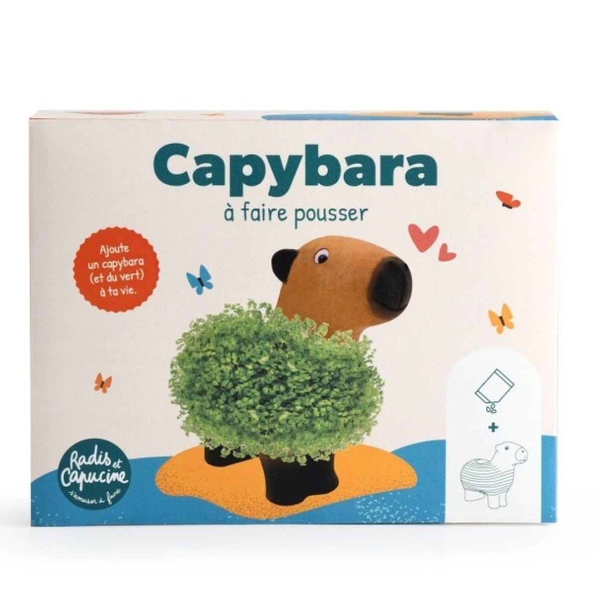 Capybara en terre cuite avec graines de chia visibles