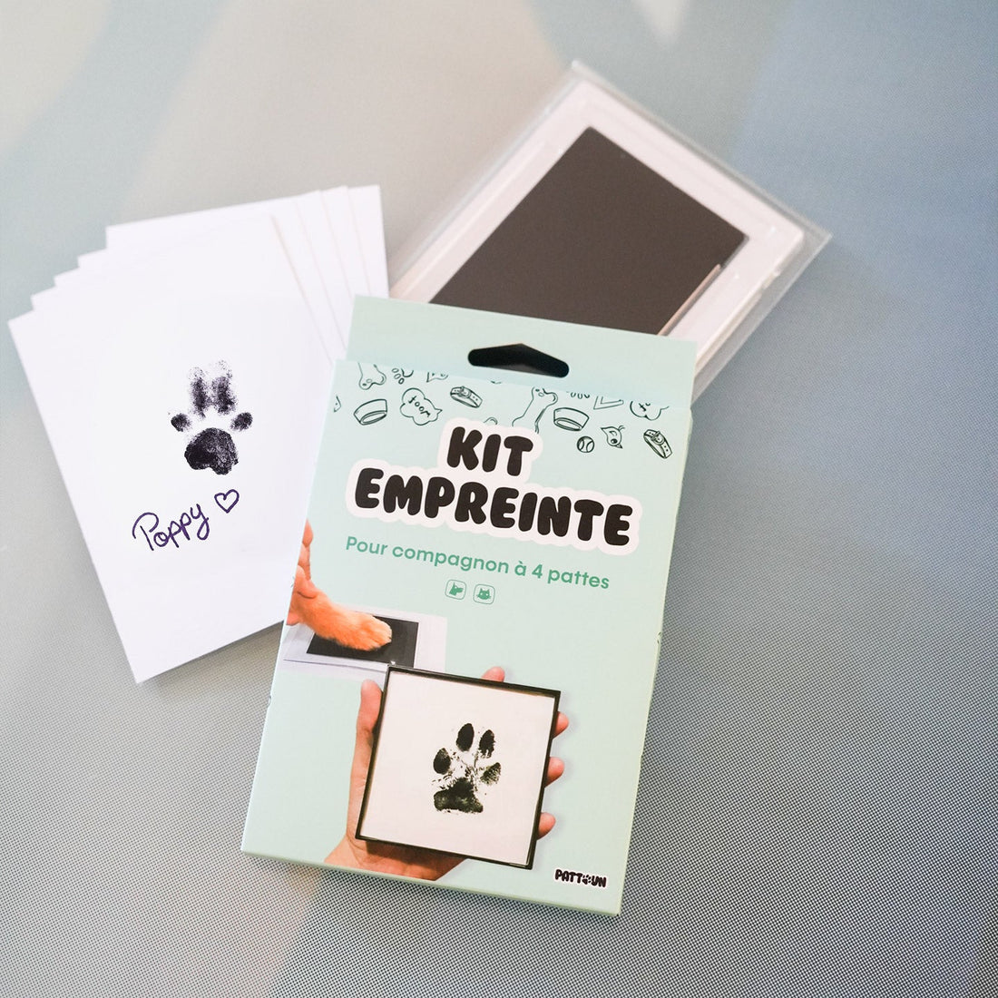 Peut-on faire un cadeau de Noël à un chien