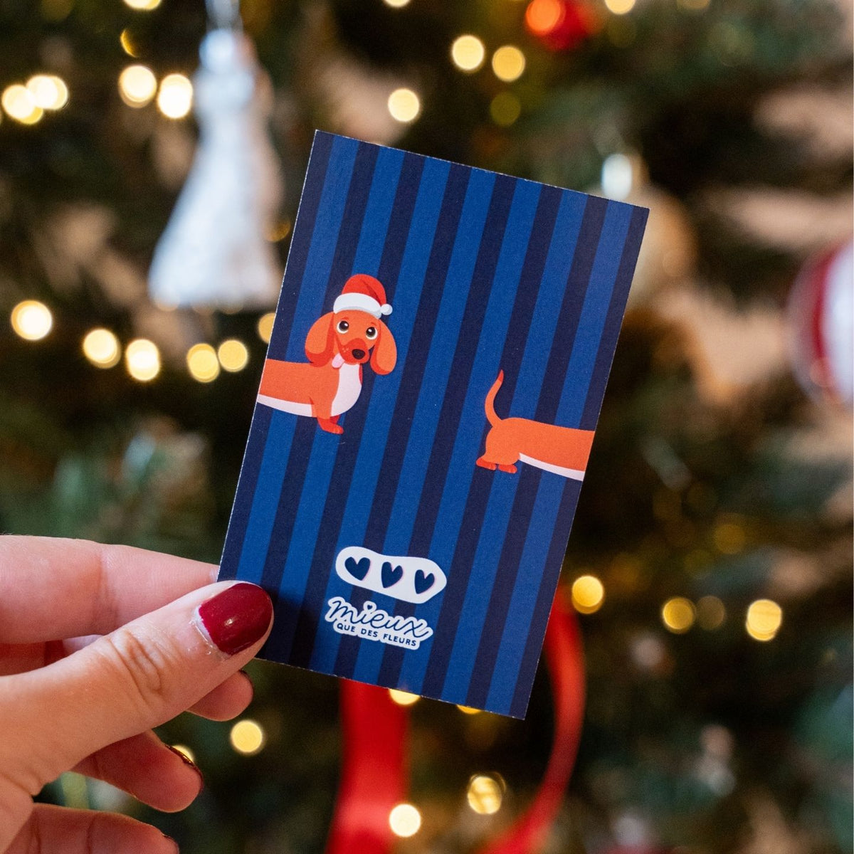 Carte à gratter avec un teckel sur fond festif, message caché
