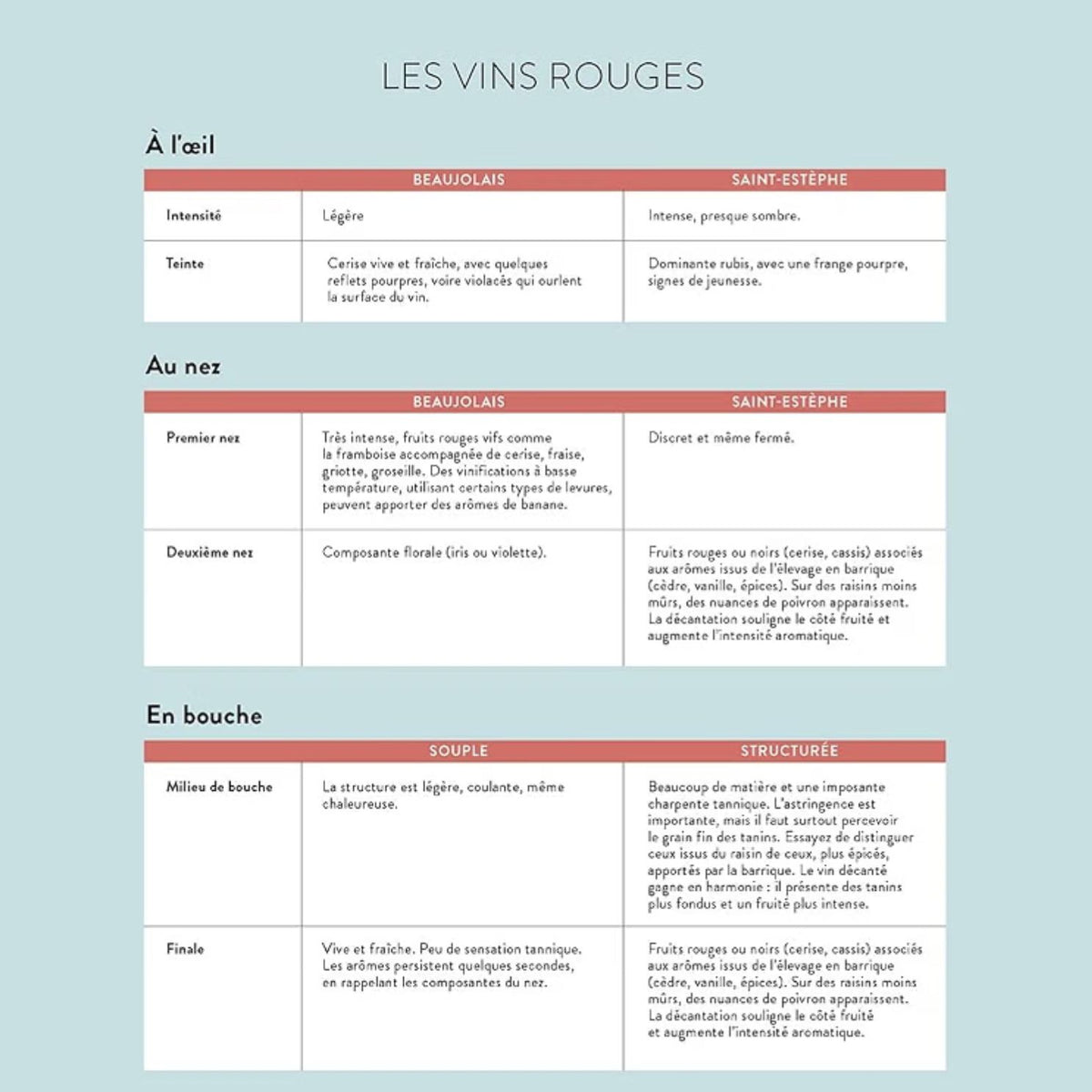 Couverture du livre sur les cépages du vin avec illustrations colorées