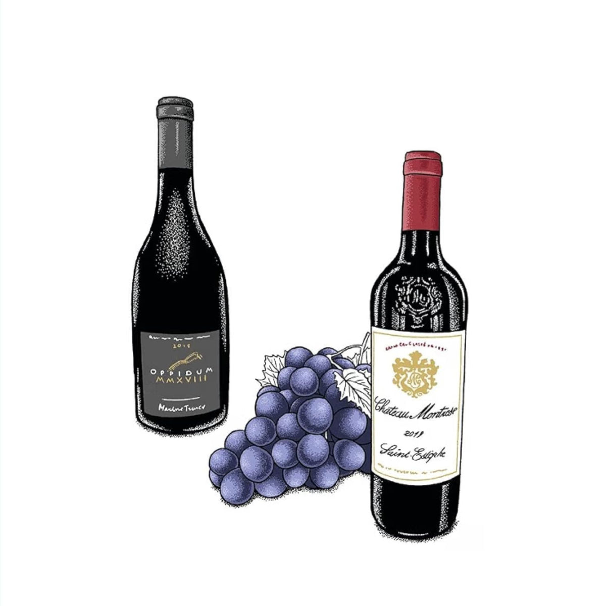 Couverture du livre sur les cépages du vin, avec illustrations colorées