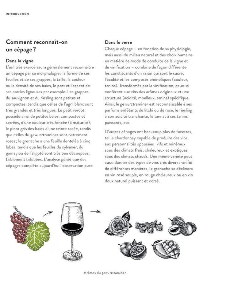 Couverture du livre sur les cépages du vin, avec illustrations colorées