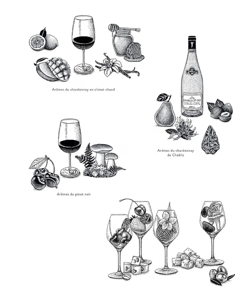 Couverture du livre sur les cépages du vin, avec illustrations colorées