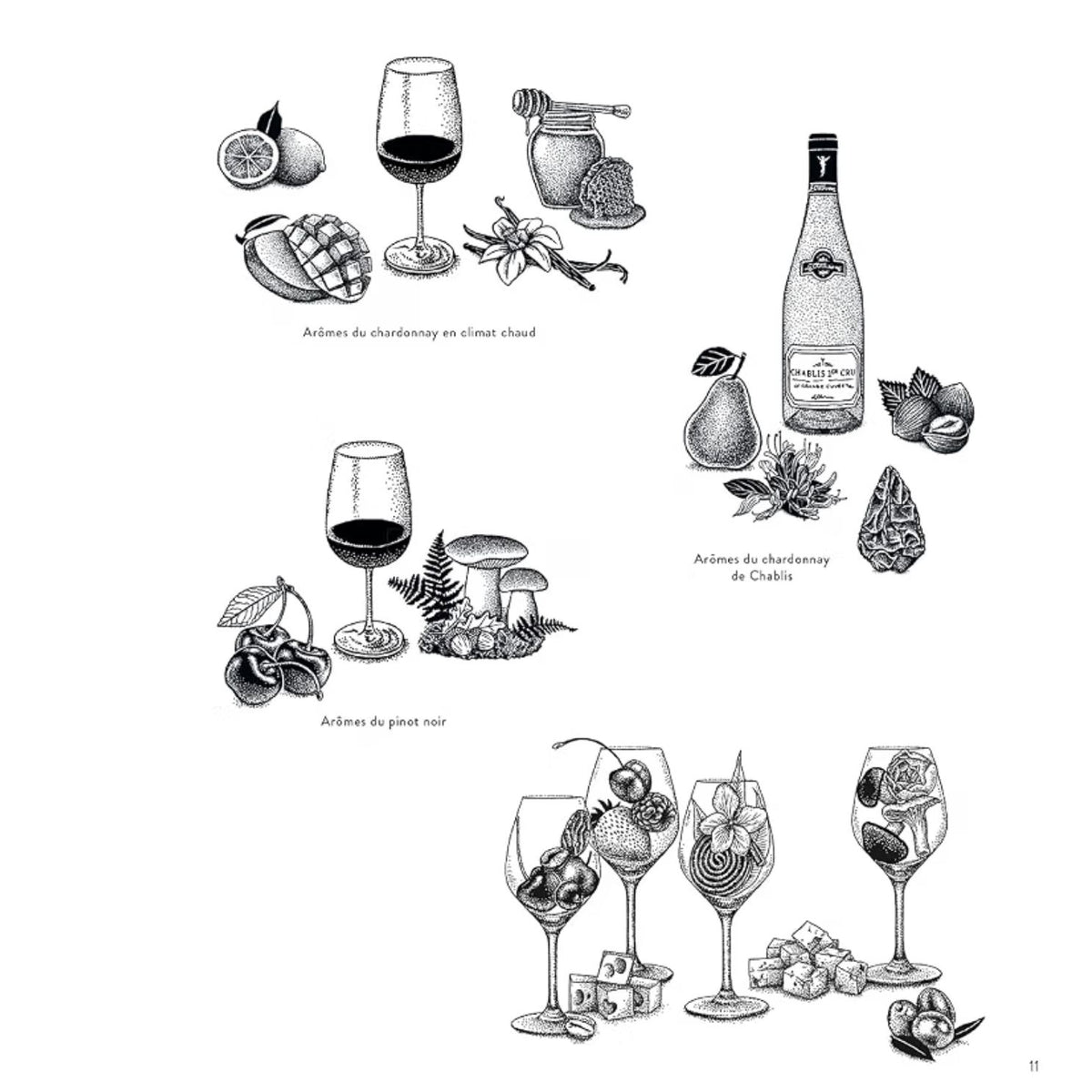 Couverture du livre sur les cépages du vin, avec illustrations colorées