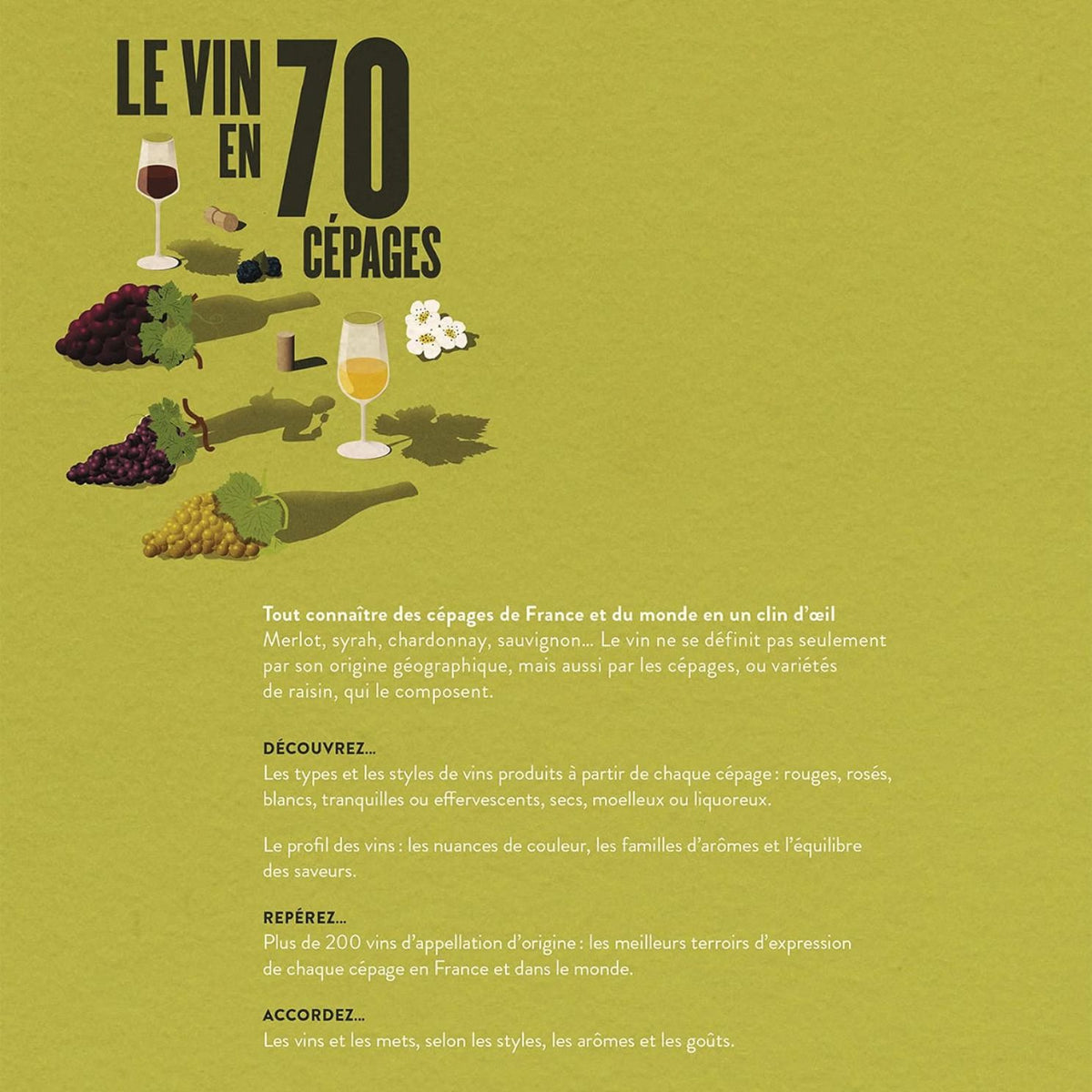 Couverture du livre sur les cépages du vin, avec illustrations colorées