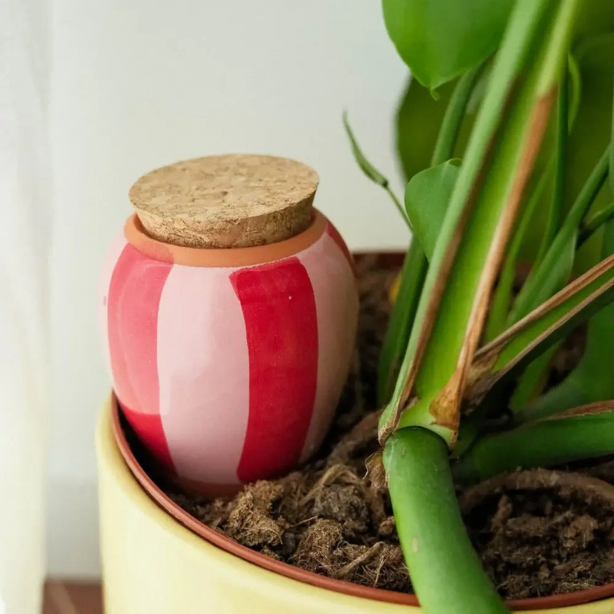 Diffuseur d'eau en terre cuite avec motifs roses et rouges