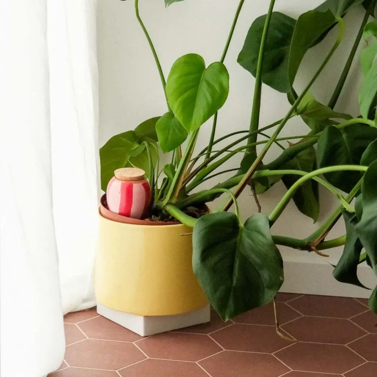 Diffuseur d'eau en terre cuite avec motifs roses et rouges