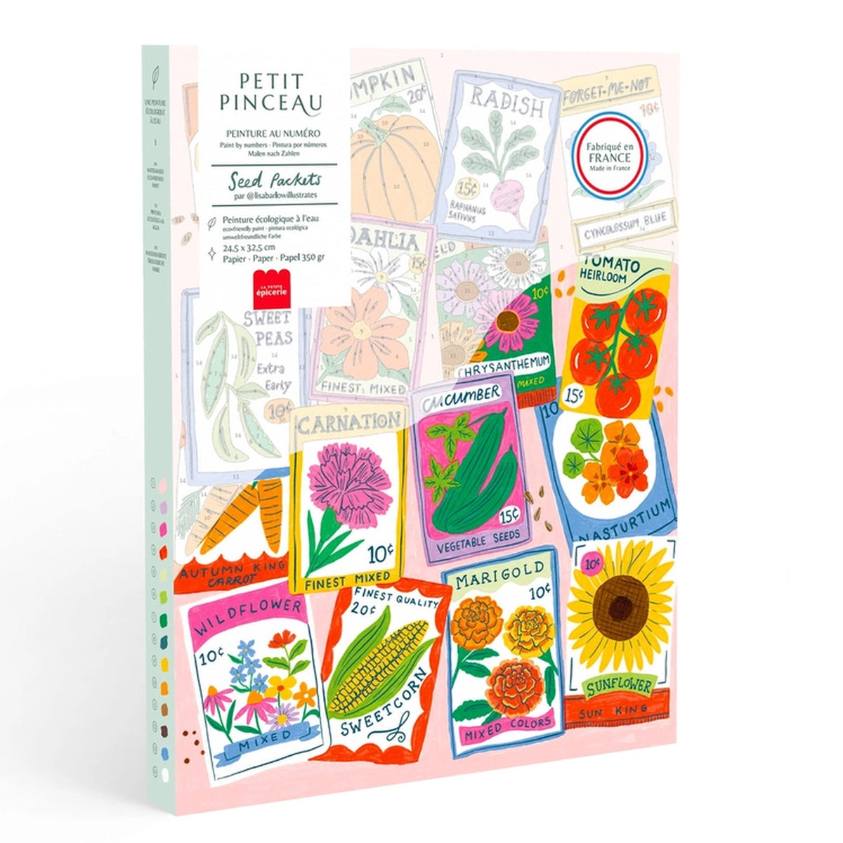 Coffret de peinture au numéro avec motifs de graines colorées
