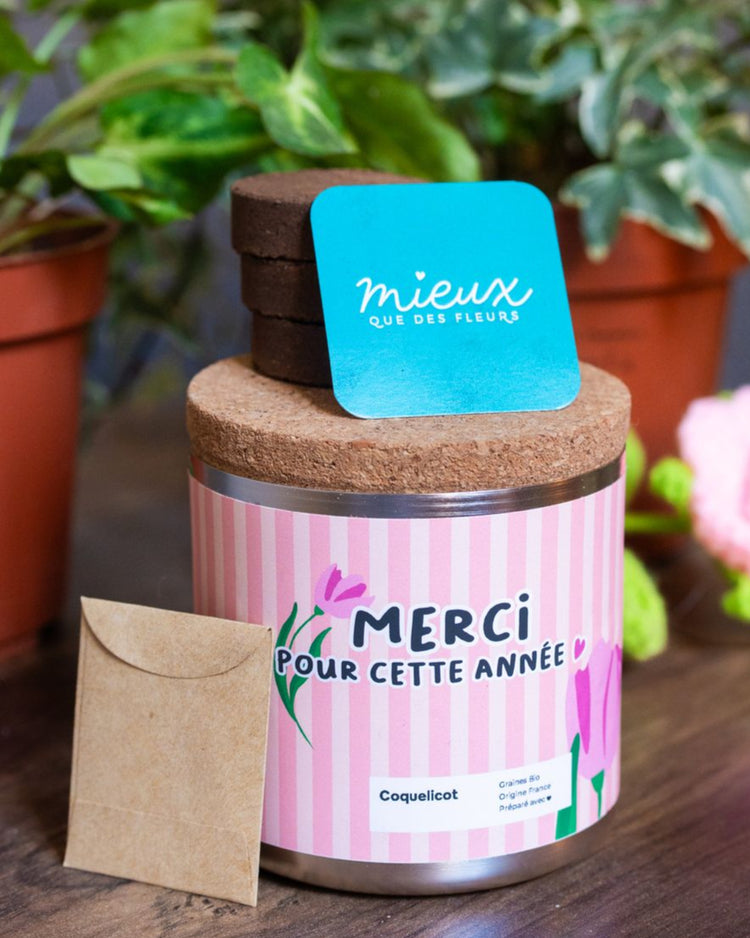 Kit à planter avec coquelicots, vue de dessus sur les graines.
