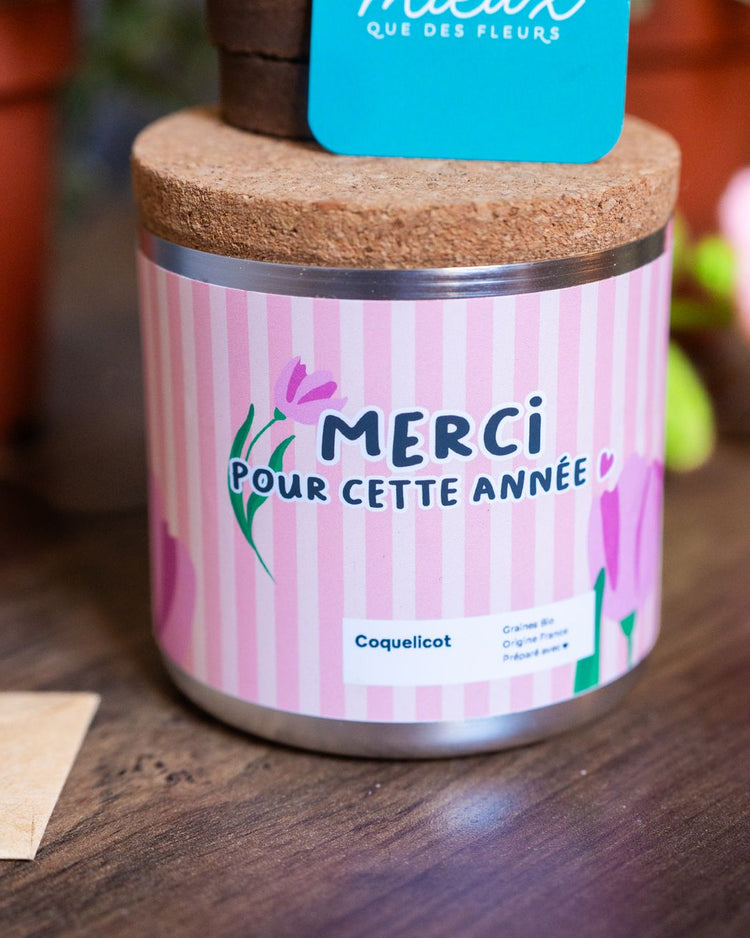 Kit à planter avec coquelicots, vue de dessus sur les graines.