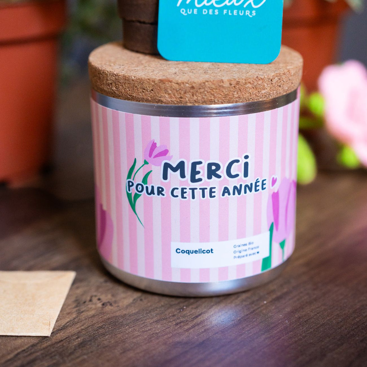 Kit à planter avec coquelicots, vue de dessus sur les graines.