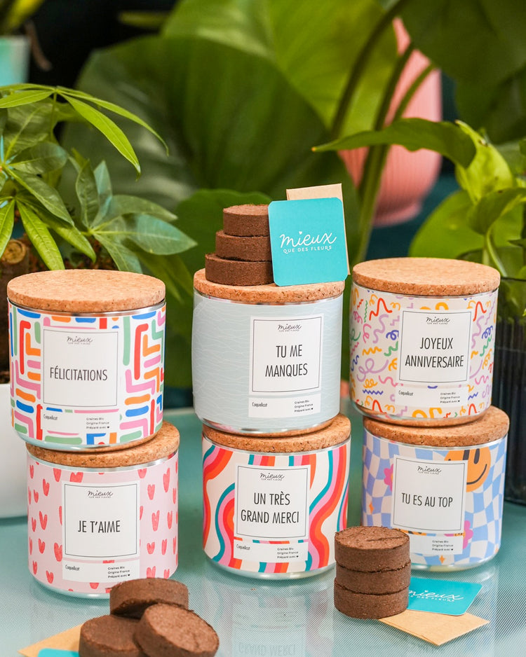 Kit à planter avec message et palet déshydraté visible