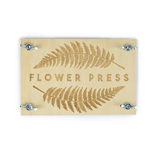 Kit DIY pour créer des œuvres florales séchées, vue de dessus