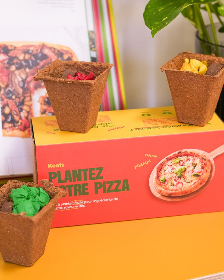 Kit de plantation avec pots en terre cuite et étiquettes en bois.