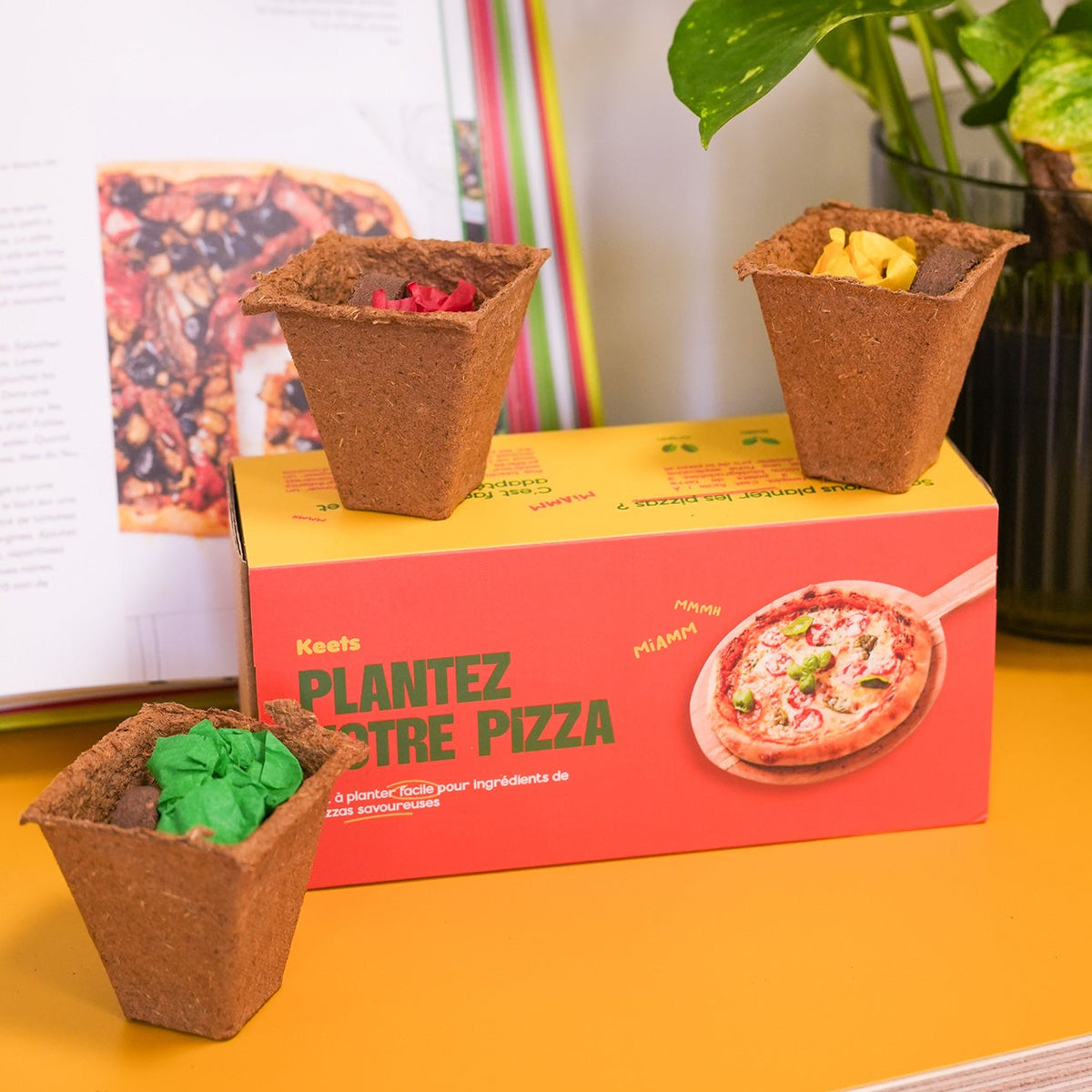 Kit de plantation avec pots en terre cuite et étiquettes en bois.
