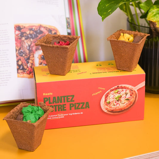 Kit de plantation avec pots en terre cuite et étiquettes en bois.