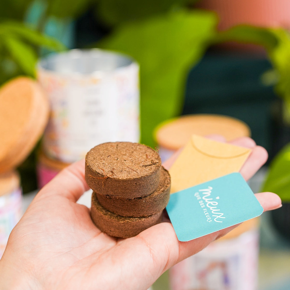Kit à planter avec photo personnalisée et graines colorées