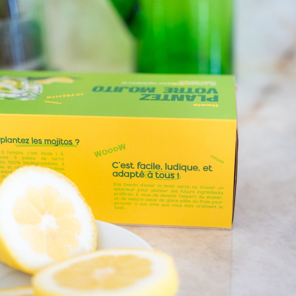 Kit de jardinage pour cultiver basilic et menthe, vue de dessus.