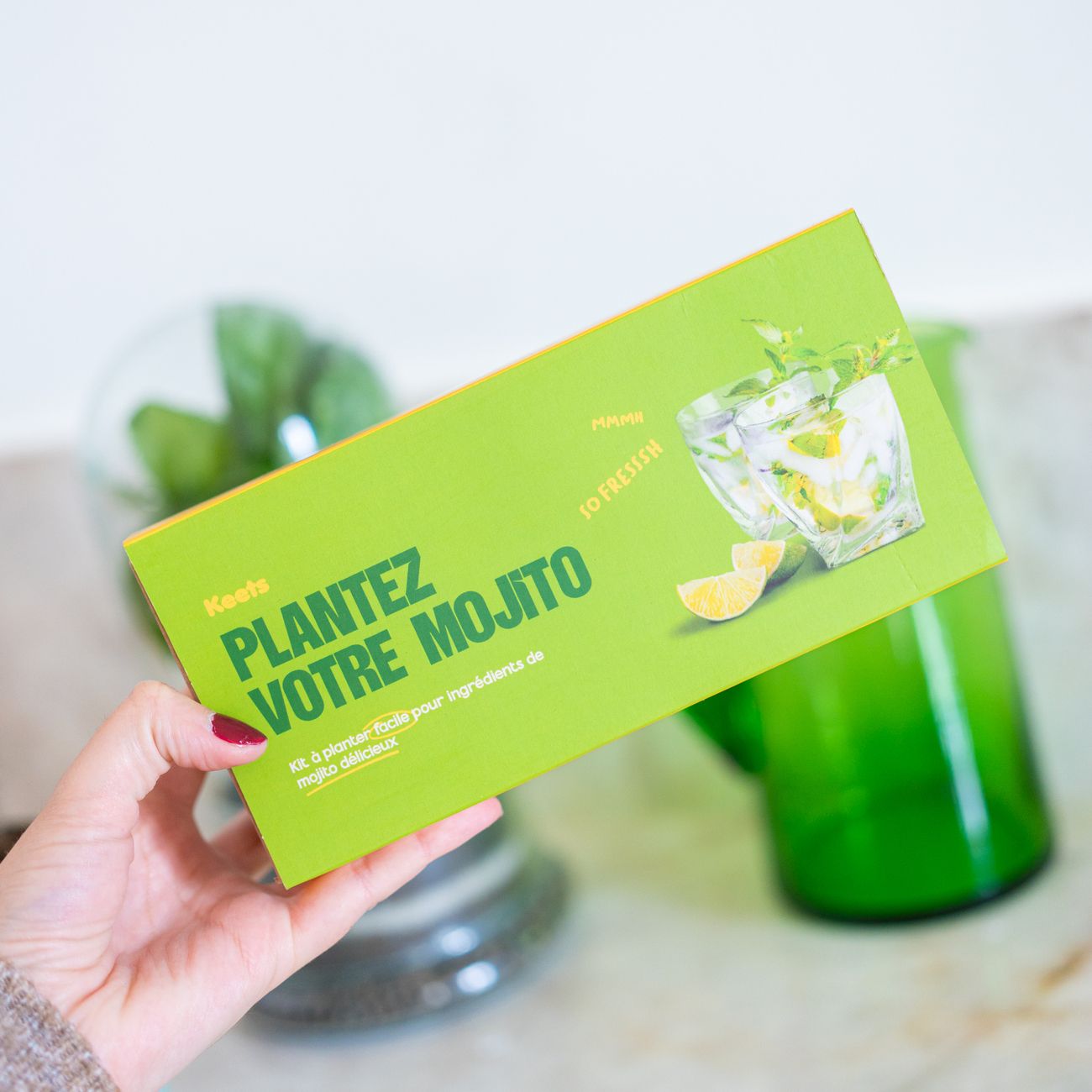 Kit de jardinage pour faire pousser du basilic, de la menthe et de la menthe poivrée