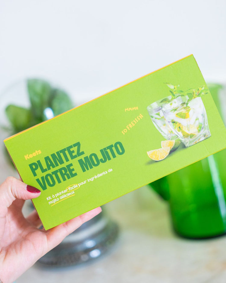 Kit de jardinage pour cultiver basilic et menthe, vue de dessus.