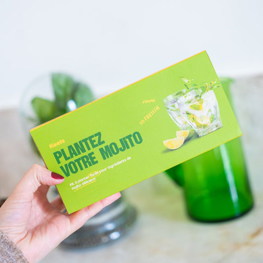 Kit de jardinage pour cultiver basilic et menthe, vue de dessus.