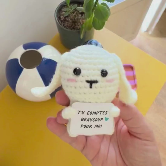 Vidéo de présentation du petit messager : peluche en crochet qui représente un lapin avec une pancarte et un message affectueux 