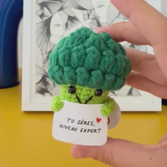 Vidéo de présentation du petit messager : peluche en crochet qui représente un brocoli