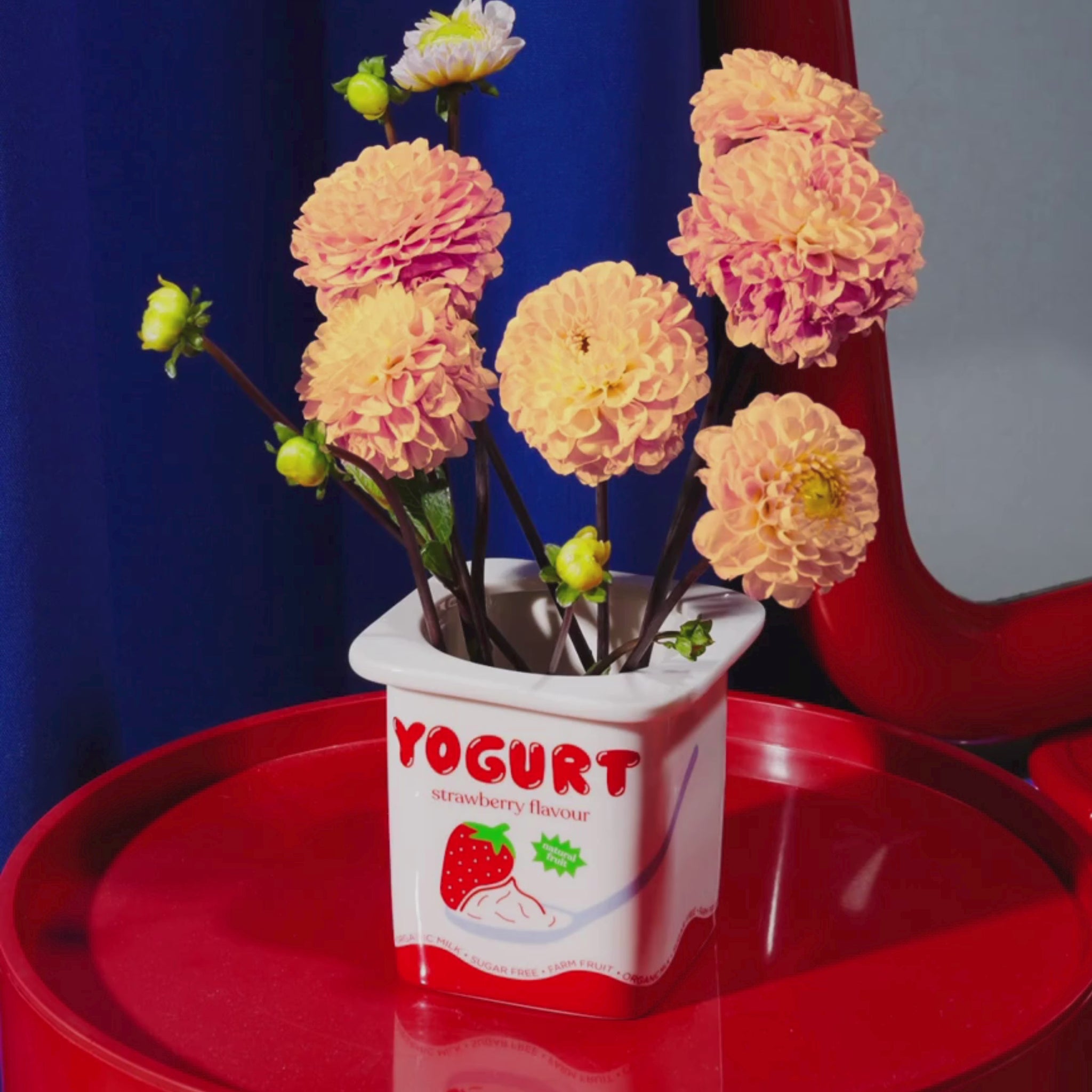 Vidéo de présentation du vase insolite yaourt