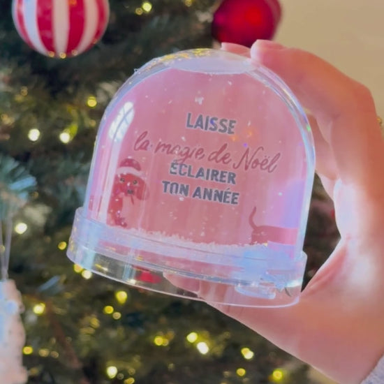 Vidéo de présentation de la boule à neige de Noël Teckel