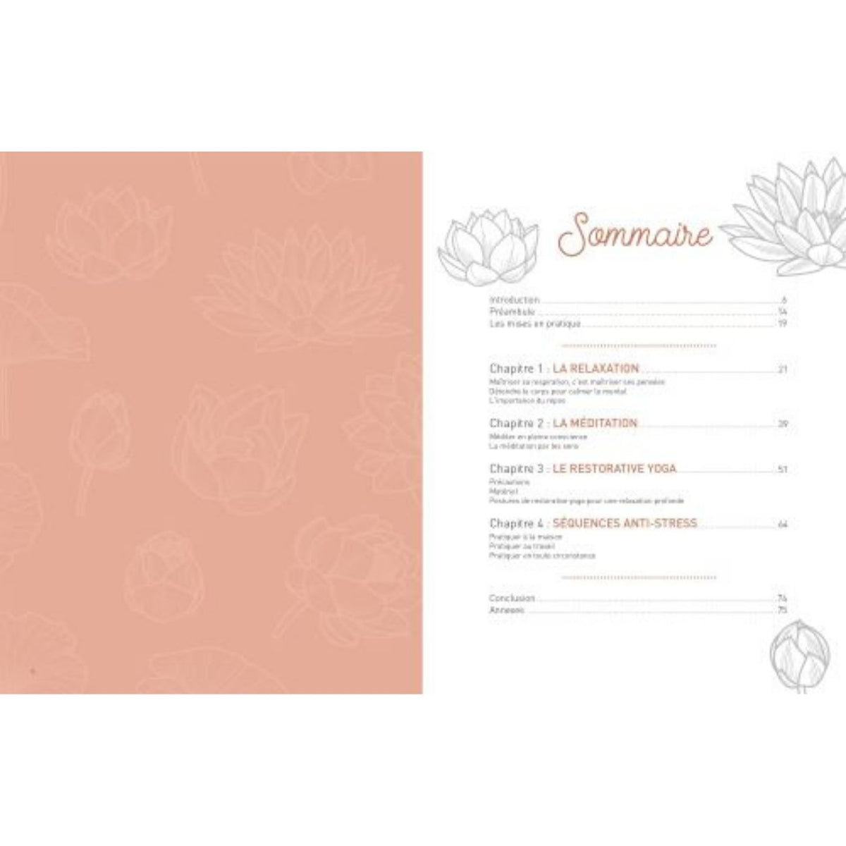 Couverture du livre sur la gestion du stress, design apaisant