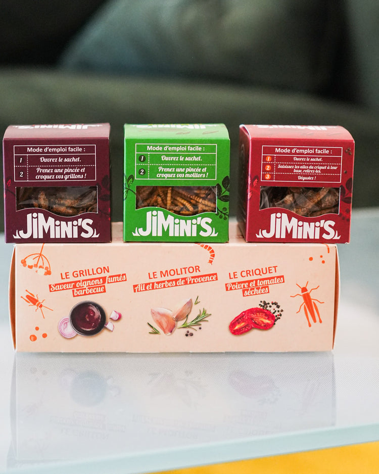 Coffret d'insectes comestibles pour apéro, vue de dessus.
