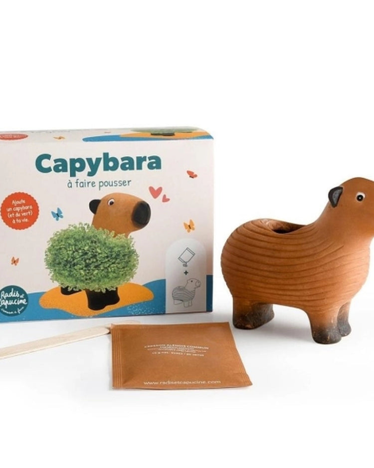 Capybara en terre cuite avec graines de chia visibles