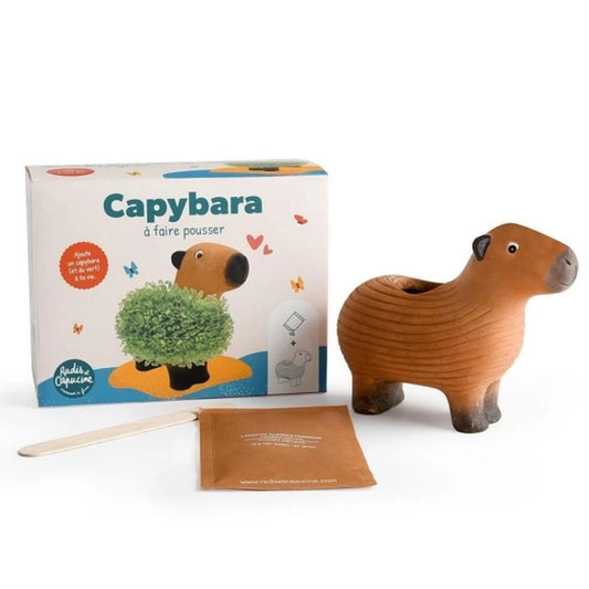 Capybara en terre cuite avec graines de chia visibles