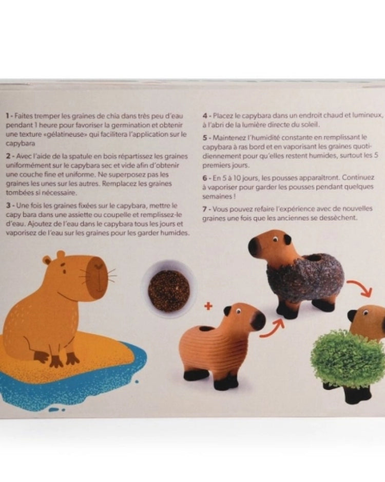 Capybara en terre cuite avec graines de chia en gros plan