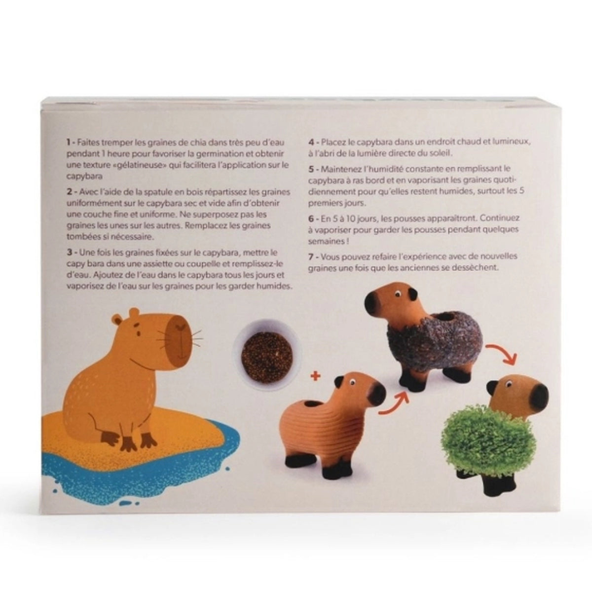 Capybara en terre cuite avec graines de chia en gros plan