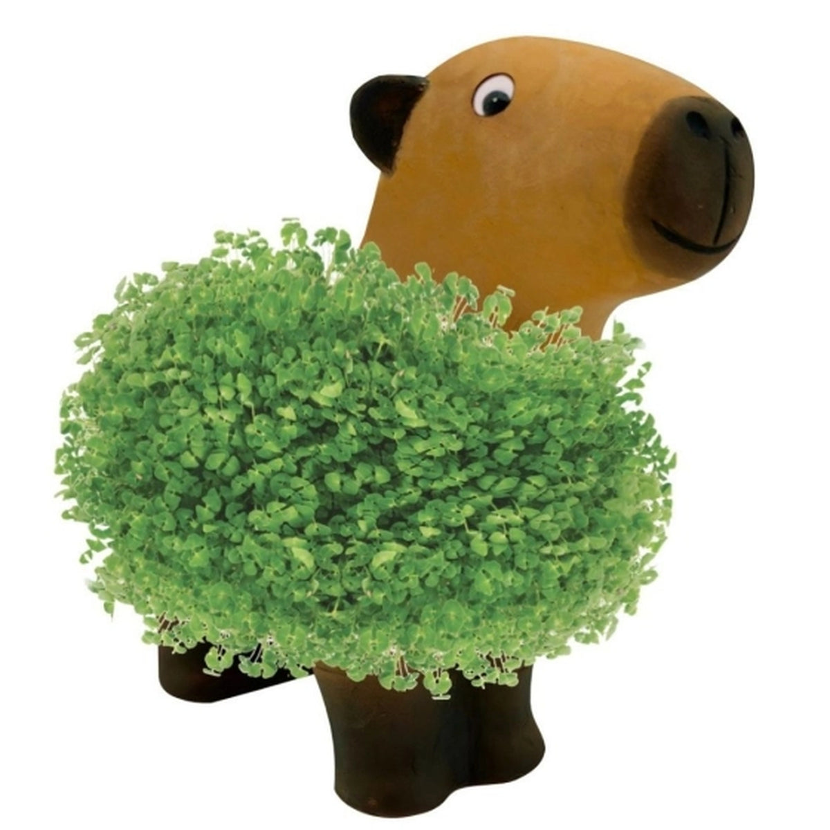 Capybara en terre cuite avec graines de chia, vue de côté