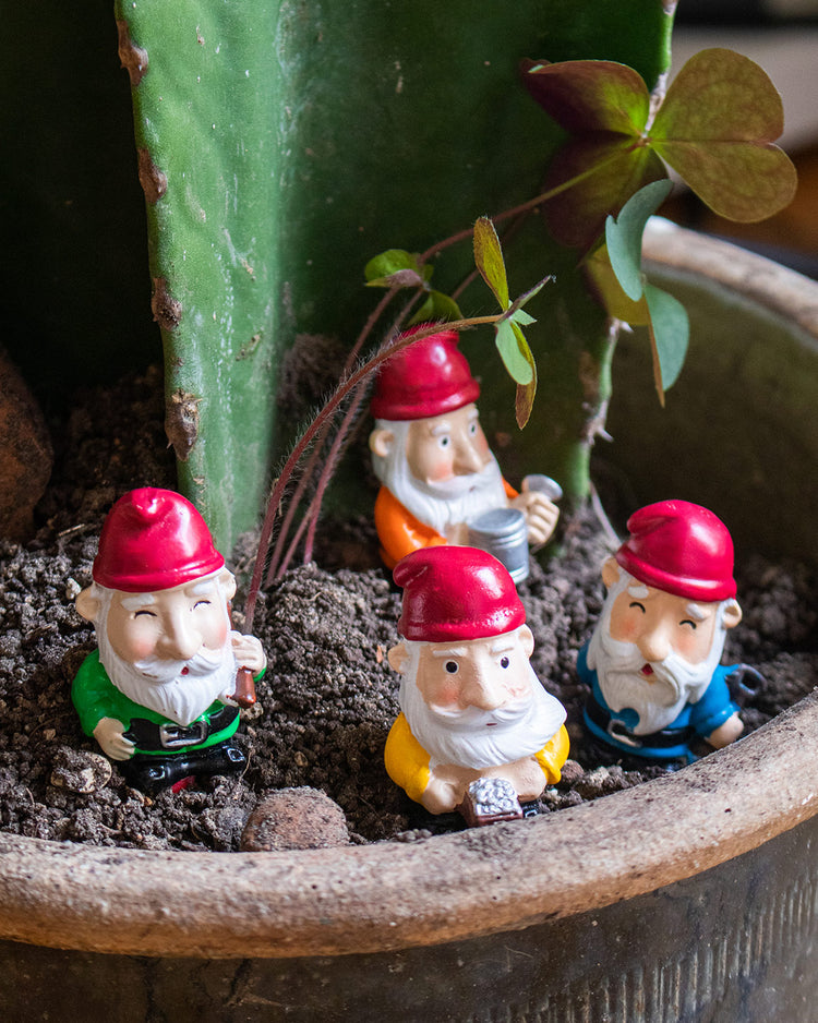 Nains de pot de plante en céramique colorée sur fond blanc