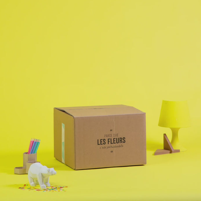 Box Ballons - Mieux Que Des Fleurs